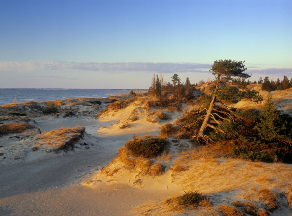 Sand Dunes At Sunset Lake Huron Pinery Provincial Park Ontario Canada Canvas Art - Darwin Wiggett Design Pics (16 x 12)