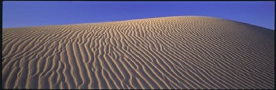 Sand Dunes Death Valley National Park CA USA Canvas Art - Panoramic Images (36 x 12)