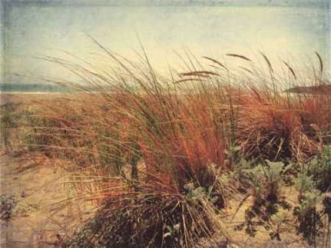 Sand Dunes II Canvas Art - Amy Melious (22 x 28)