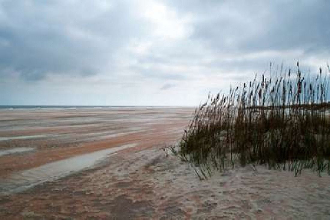 Sand Dunes II Canvas Art - Chuck Burdick (12 x 18)