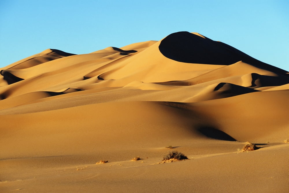 Sand Dunes In Desert Canvas Art - Doug McKinlay Design Pics (36 x 24)