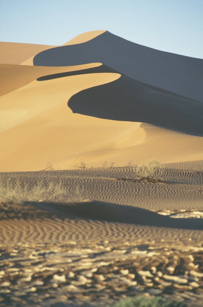 Sand Dunes In Namib Desert Canvas Art - Sasha Gusov Design Pics (24 x 38)