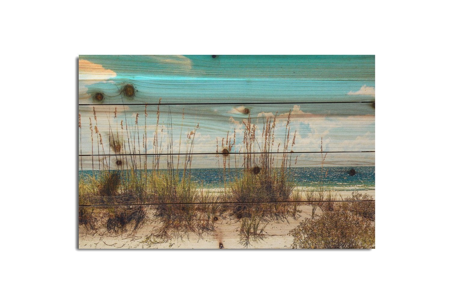Coastal Sand Dunes Landscape Print on Fir Wood