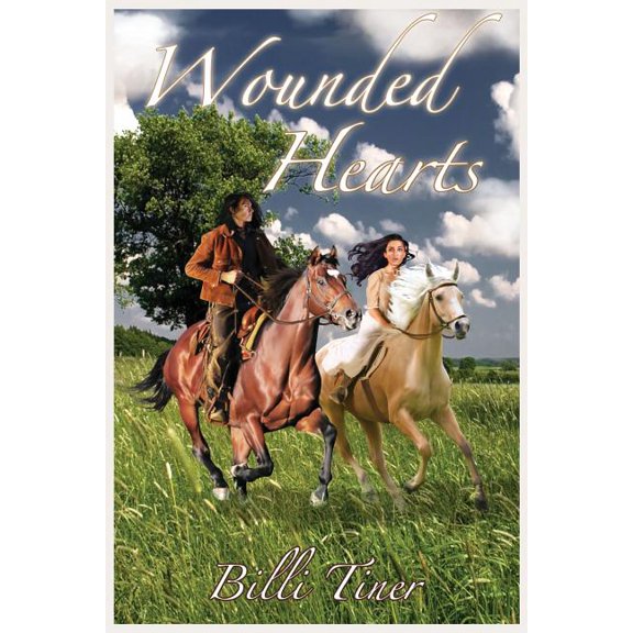 Sand Hill Romance: Wounded Hearts (Series #3) (Paperback)