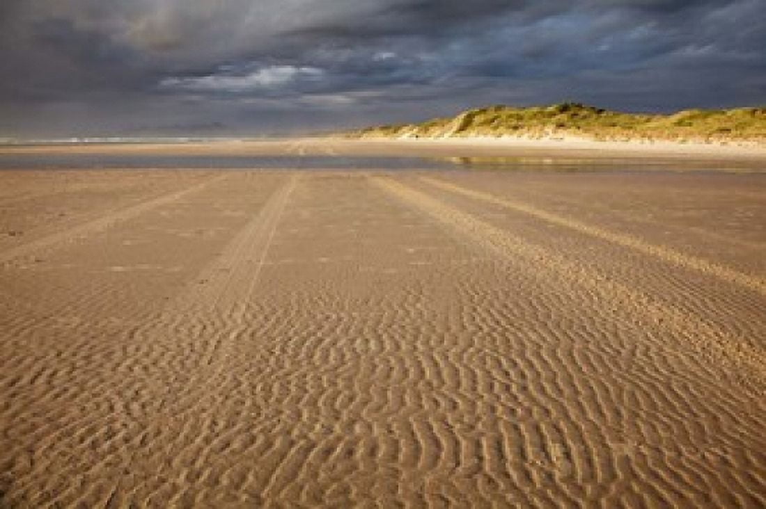 Sand Ripples Beach Tasmania Australia Canvas Art - David Wall DanitaDelimont (29 x 19)