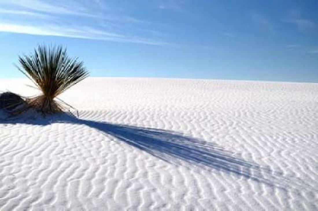 Sand Shadows I Canvas Art - Douglas Taylor (24 x 36)