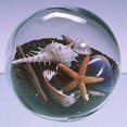 Sand & Shell Sandglobe Paperweight 4inch Black Sand