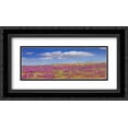 thumbnail image 1 of Sand Verbena carpeting the Imperial Sand Dunes, California 2x Matted 24x14 Black Ornate Framed Art Print by Fitzharris, Tim, 1 of 2