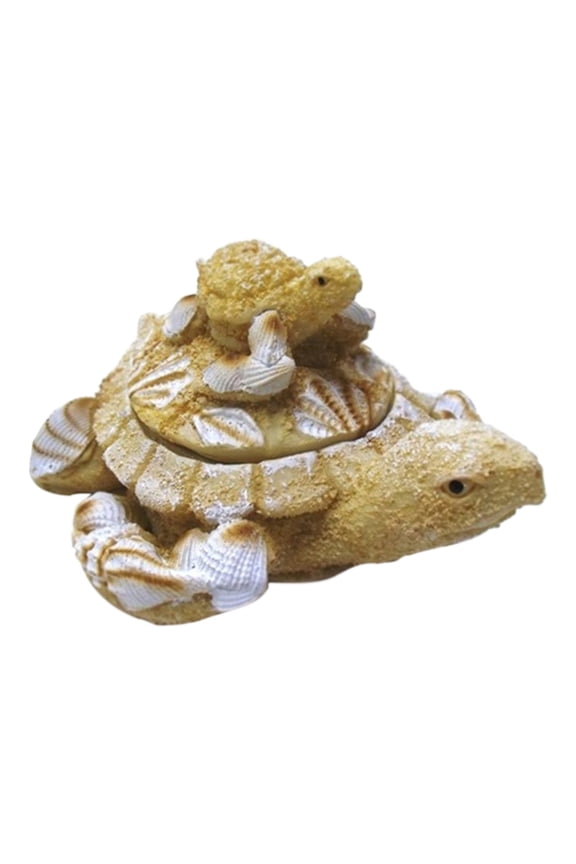 Sand and Shell Turtle Box