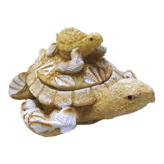 Sand and Shell Turtle Box