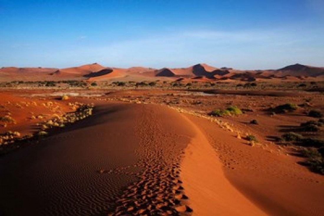Sand dune near Sossusvlei Namib-Naukluft NP Namibia Africa Canvas Art - David Wall DanitaDelimont (38 x 25)