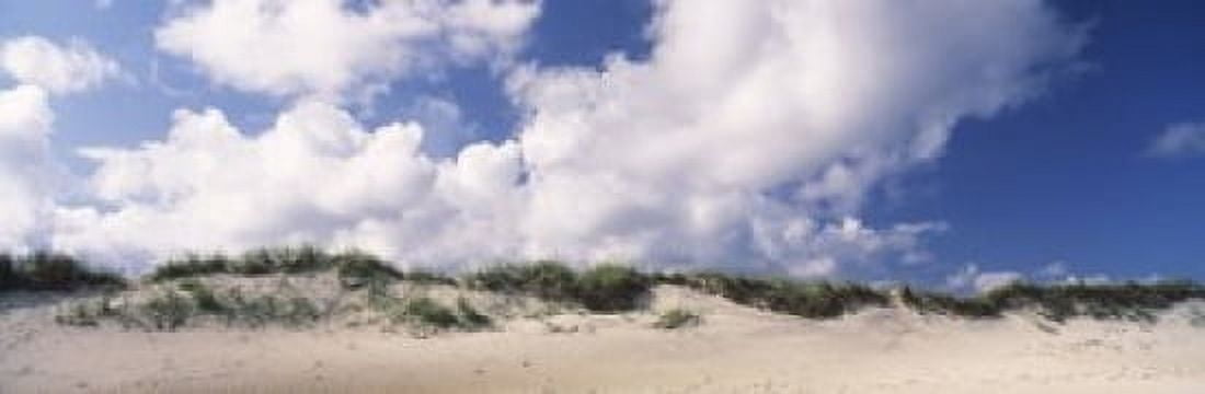 Sand dunes Cape Hatteras National Seashore Outer Banks North Carolina USA Canvas Art - Panoramic Images (36 x 12)