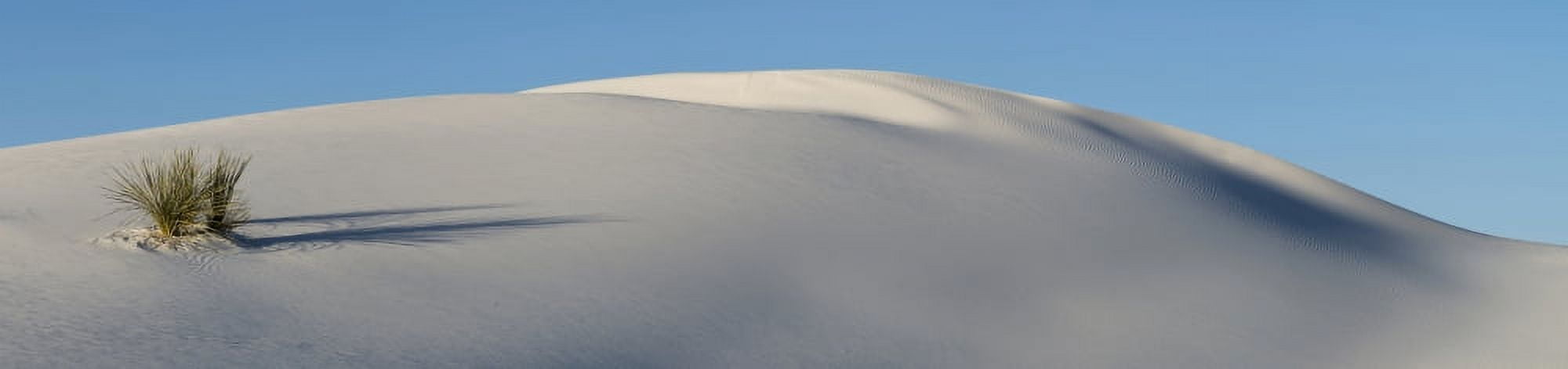 Sand dunes and Soapweed at White Sands National Monument New Mexico USA Canvas Art - Panoramic Images (27 x 8)