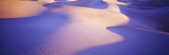 Sand dunes at sunset Stovepipe Wells Death Valley California USA Canvas Art - Panoramic Images (36 x 12)