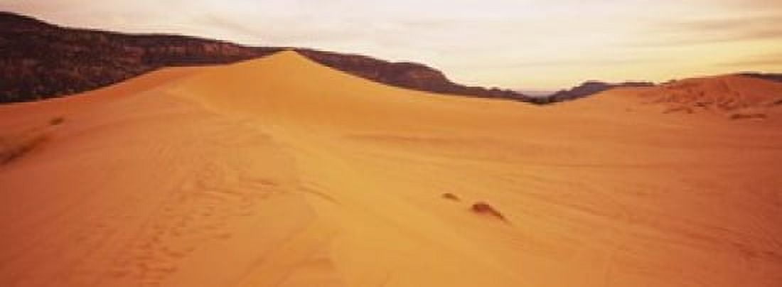 Sand dunes in a desert Coral Pink Sand Dunes State Park Utah USA Canvas Art - Panoramic Images (18 x 7)