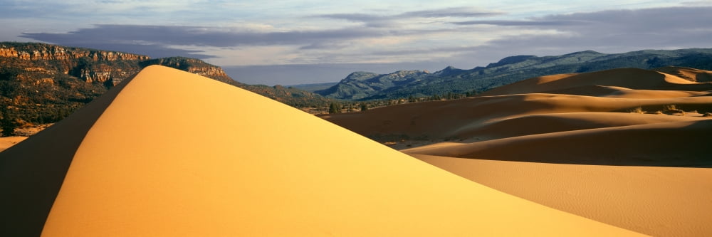 Sand dunes in a desert Coral Pink Sand Dunes State Park Utah USA Canvas Art - Panoramic Images (36 x 12)