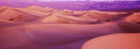 Sand dunes in a desert Death Valley National Park California USA Canvas Art - Panoramic Images (36 x 13)