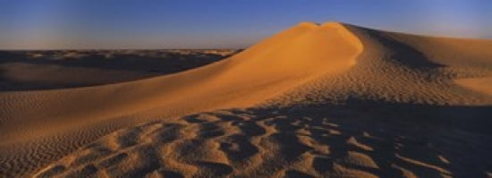 Sand dunes in a desert Douz Tunisia Canvas Art - Panoramic Images (36 x 13)