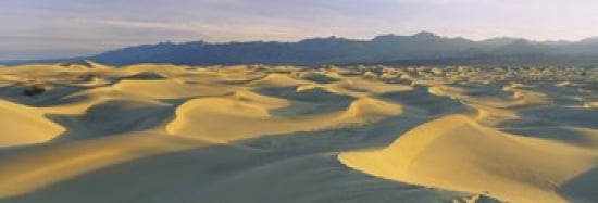 Sand dunes in a desert Grapevine Mountains Mesquite Flat Dunes Death Valley National Park California USA Canvas Art - Panoramic Images (36 x 13)