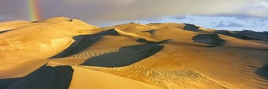 Sand dunes in a desert Great Sand Dunes National Park Colorado USA Canvas Art - Panoramic Images (36 x 12)