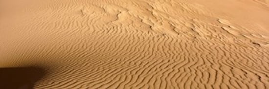 Sand dunes in a desert Great Sand Dunes National Park Colorado USA Canvas Art - Panoramic Images (36 x 12)