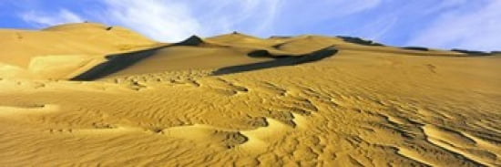 Sand dunes in a desert Great Sand Dunes National Park Colorado USA Canvas Art - Panoramic Images (36 x 12)