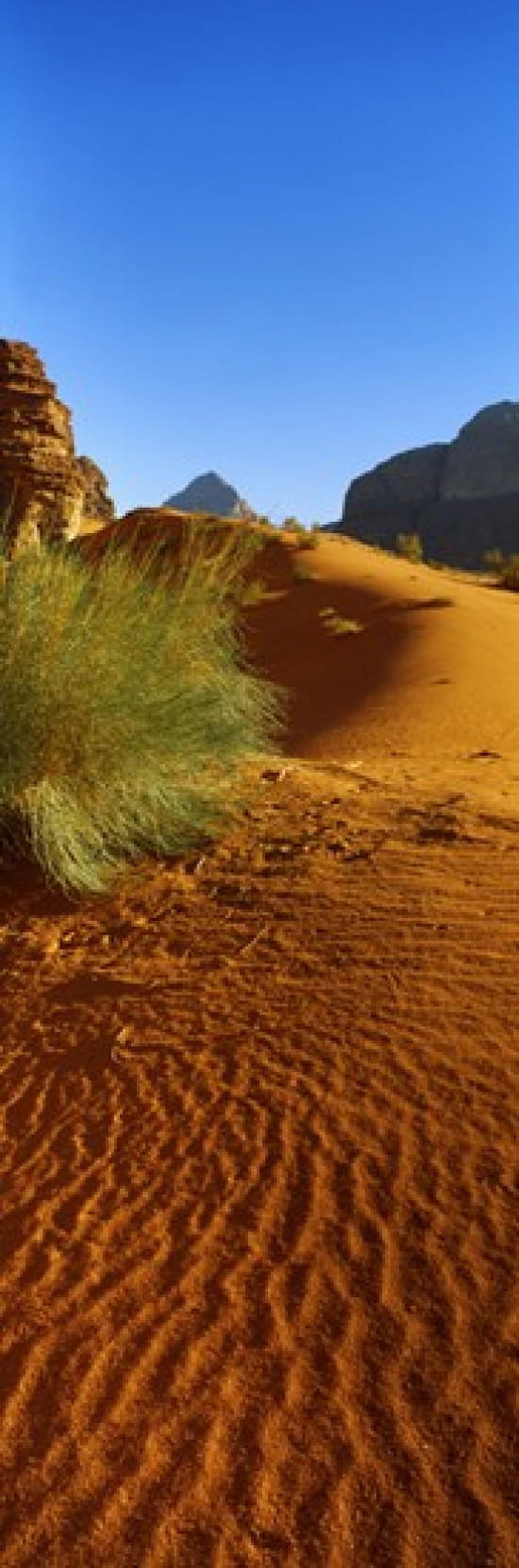 Sand dunes in a desert Jordan Canvas Art - Panoramic Images (18 x 6)