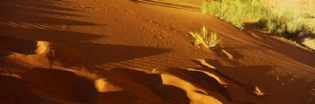 Sand dunes in a desert Jordan Canvas Art - Panoramic Images (36 x 12)