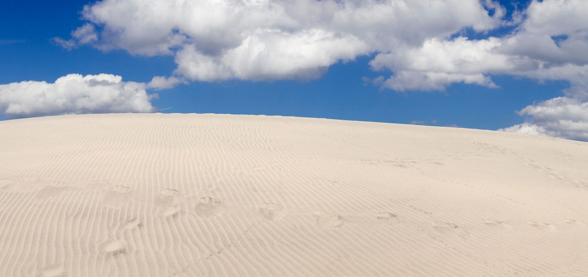 Sand dunes in a desert Maspalomas Grand Canary Canary Islands Spain Canvas Art - Panoramic Images (20 x 9)