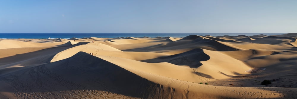 Sand dunes in a desert Maspalomas Grand Canary Canary Islands Spain Canvas Art - Panoramic Images (36 x 12)