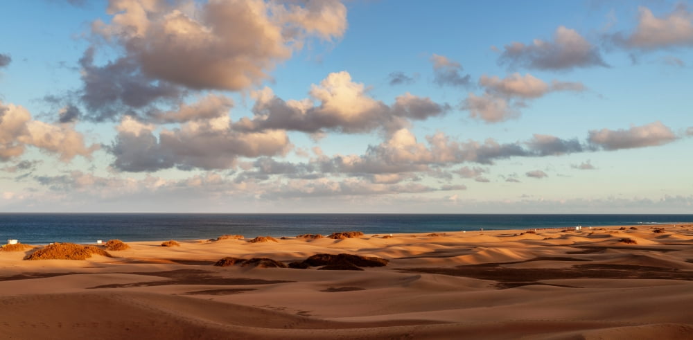 Sand dunes in a desert Maspalomas Grand Canary Canary Islands Spain Canvas Art - Panoramic Images (36 x 12)