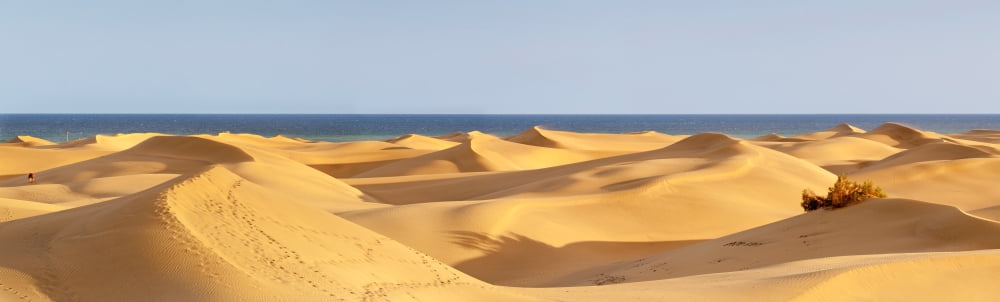 Sand dunes in a desert Maspalomas Grand Canary Canary Islands Spain Canvas Art - Panoramic Images (36 x 12)