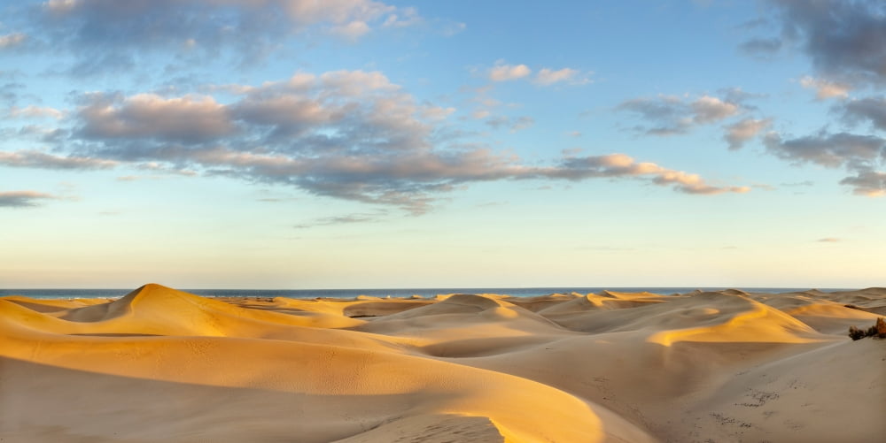 Sand dunes in a desert Maspalomas Grand Canary Canary Islands Spain Canvas Art - Panoramic Images (36 x 12)