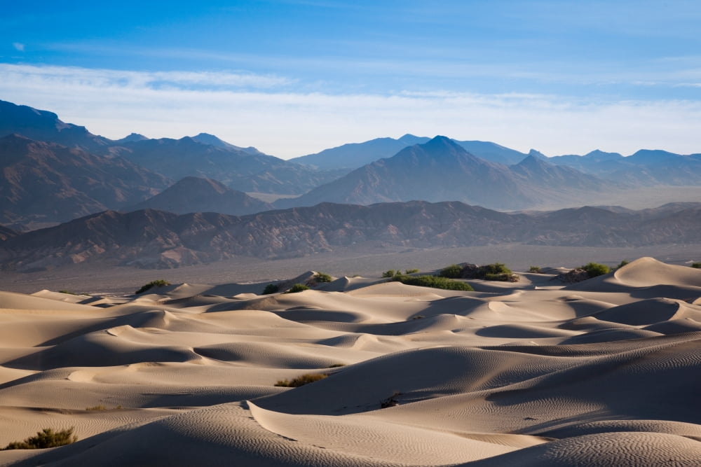 Sand dunes in a desert Mesquite Flat Sand Dunes Death Valley National Park Inyo County California USA Canvas Art - Panoramic Images (27 x 9)
