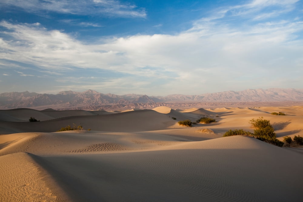 Sand dunes in a desert Mesquite Flat Sand Dunes Death Valley National Park Inyo County California USA Canvas Art - Panoramic Images (27 x 9)