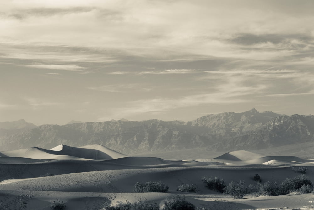 Sand dunes in a desert Mesquite Flat Sand Dunes Death Valley National Park Inyo County California USA Canvas Art - Panoramic Images (36 x 12)