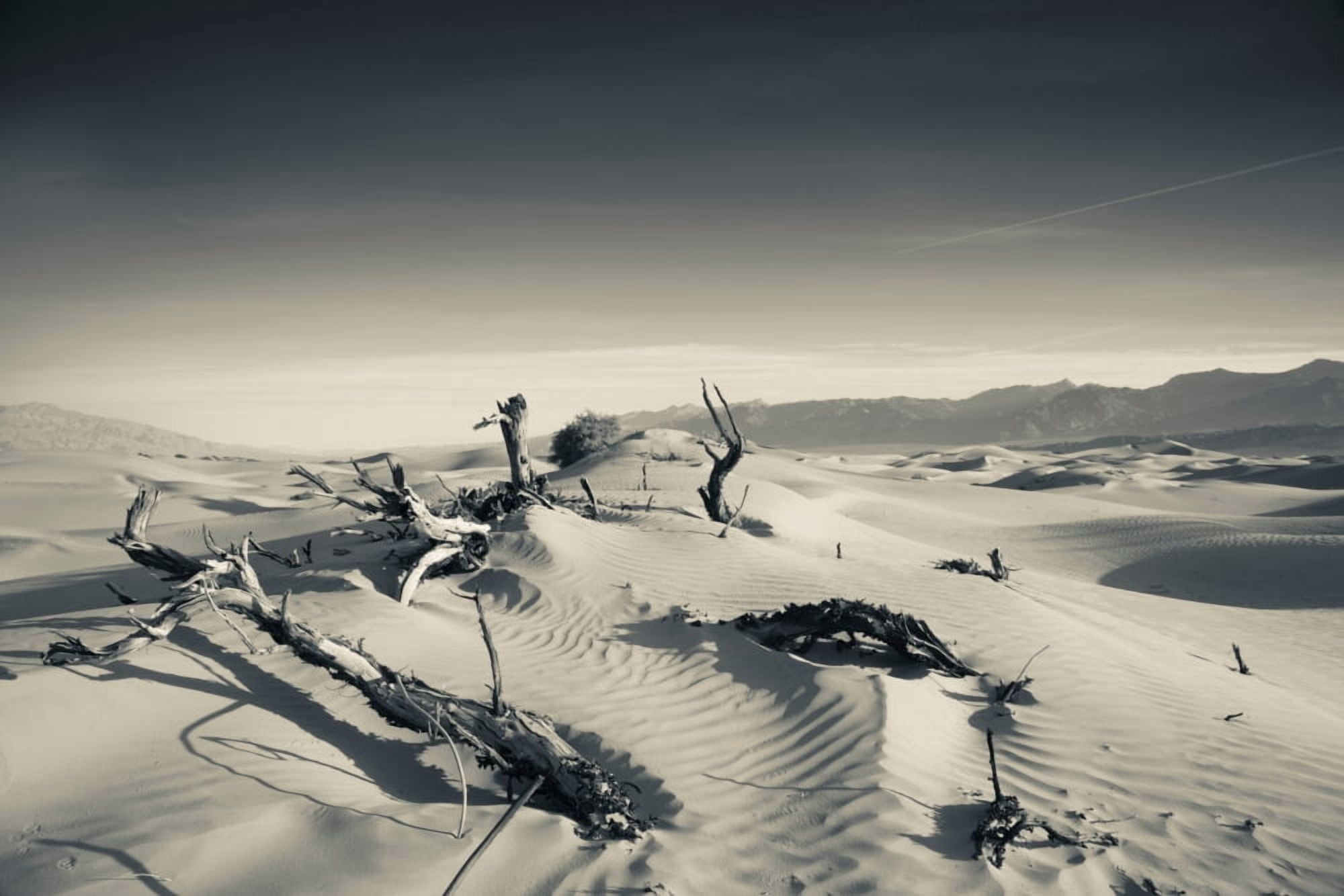 Sand dunes in a desert Mesquite Flat Sand Dunes Death Valley National Park Inyo County California USA Canvas Art - Panoramic Images (36 x 12)