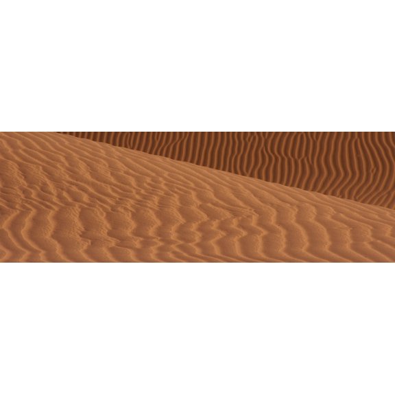 Sand dunes in a desert Mojave Desert Calif California USA Canvas Art - Panoramic Images (12 x 36)