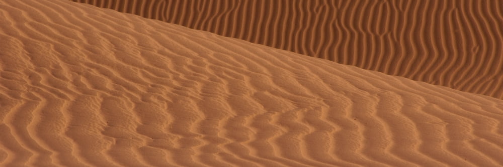 Sand dunes in a desert Mojave Desert Calif California USA Canvas Art - Panoramic Images (6 x 18)