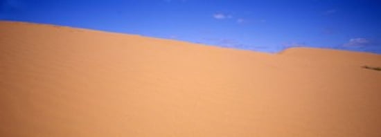 Sand dunes in a desert New South Wales Australia Canvas Art - Panoramic Images (36 x 13)