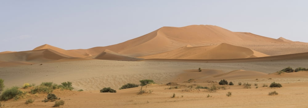 Sand dunes in a desert Sossusvlei Namib Desert Namib-Naukluft National Park Hardap Namibia Canvas Art - Panoramic Images (27 x 9)