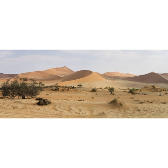 Sand dunes in a desert Sossusvlei Namib Desert Namib-Naukluft National Park Hardap Namibia Canvas Art - Panoramic Images (27 x 9)