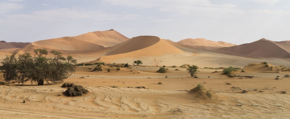 Sand dunes in a desert Sossusvlei Namib Desert Namib-Naukluft National Park Hardap Namibia Canvas Art - Panoramic Images (36 x 12)