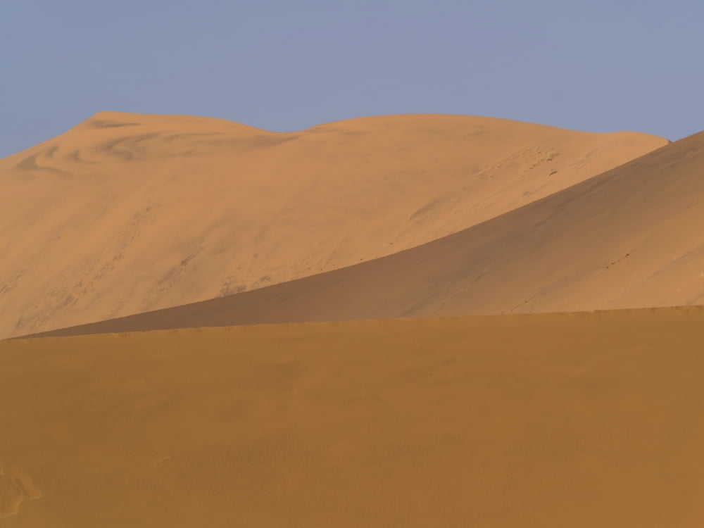 Sand dunes in a desert Sossusvlei Namib-Naukluft National Park Hardap Namibia Canvas Art - Panoramic Images (12 x 16)