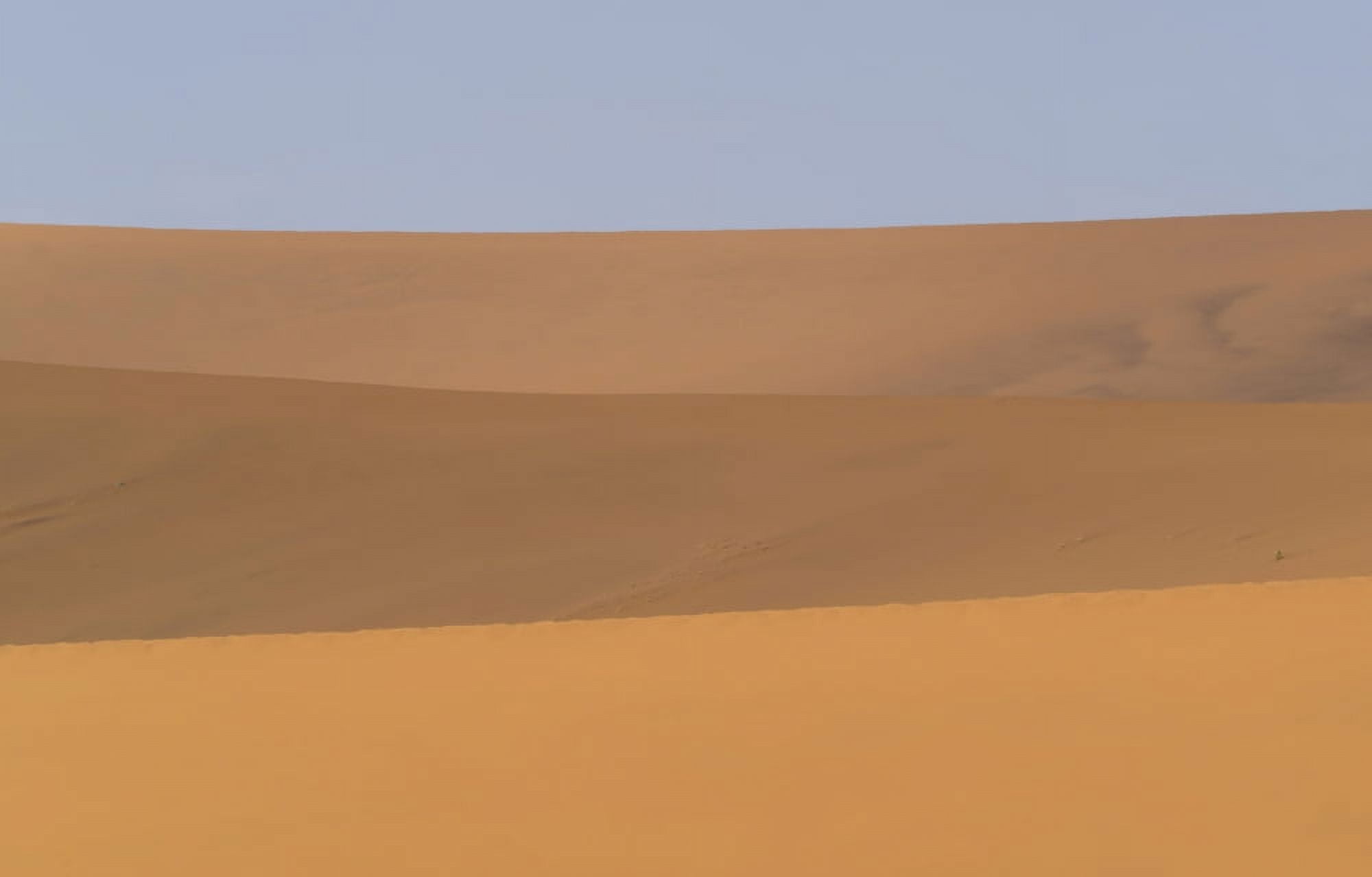 Sand dunes in a desert Sossusvlei Namib-Naukluft National Park Hardap Namibia Canvas Art - Panoramic Images (24 x 16)