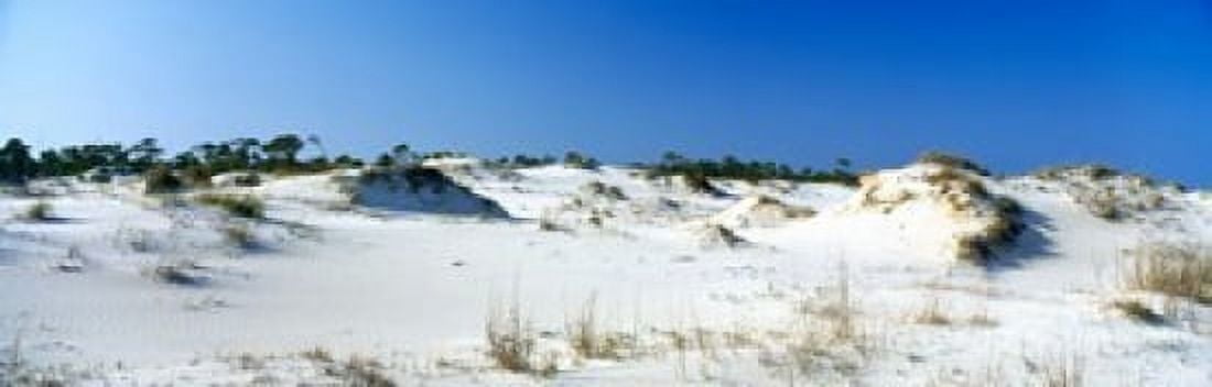Sand dunes in a desert St George Island State Park Florida Panhandle Florida USA Canvas Art - Panoramic Images (36 x 12)