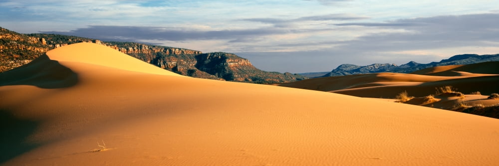 Sand dunes in a desert at dusk Coral Pink Sand Dunes State Park Utah USA Canvas Art - Panoramic Images (6 x 18)