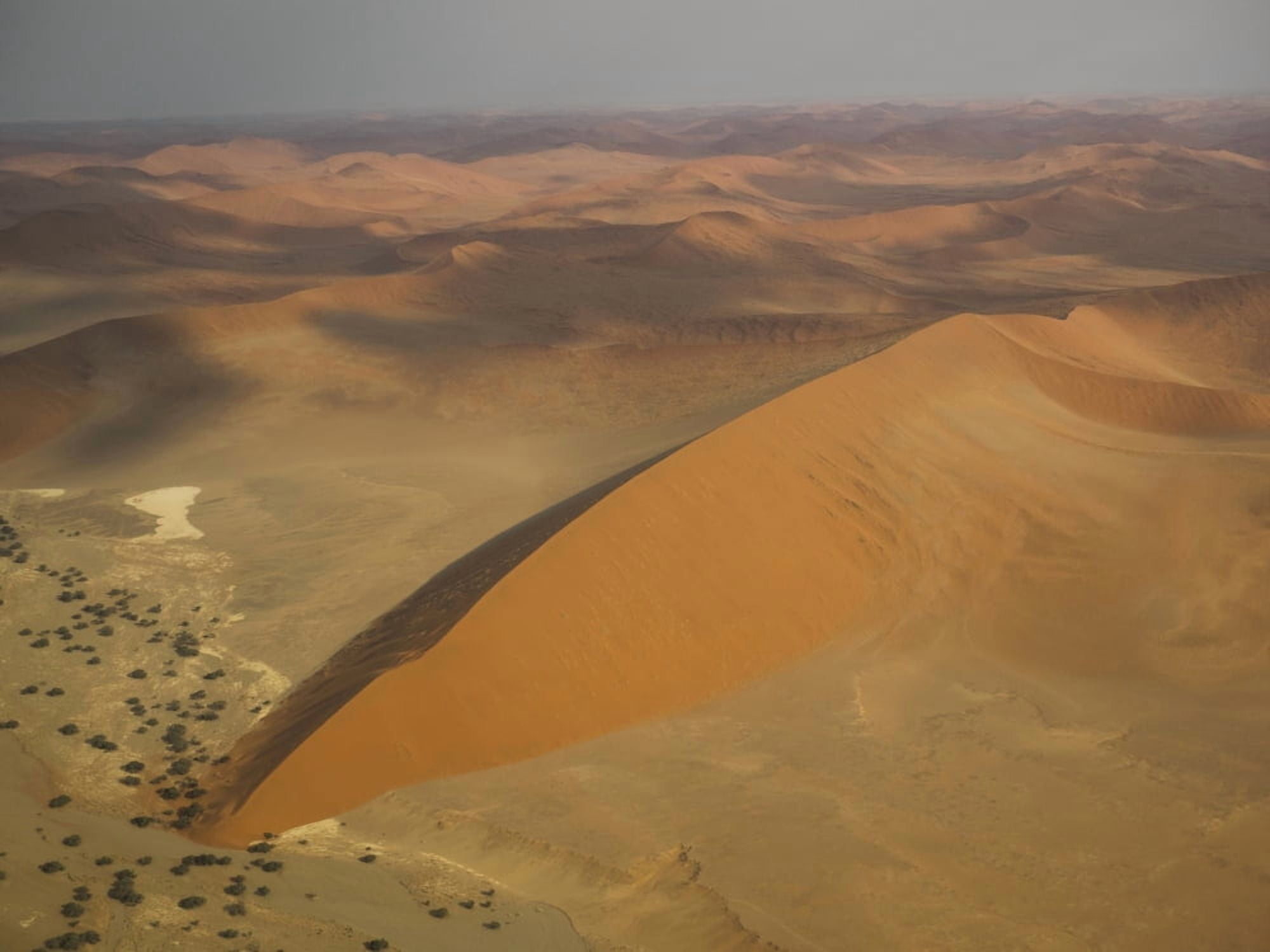 Sand dunes in a desert seen from airplane Sossusvlei Namib-Naukluft National Park Hardap Namibia Canvas Art - Panoramic Images (12 x 16)