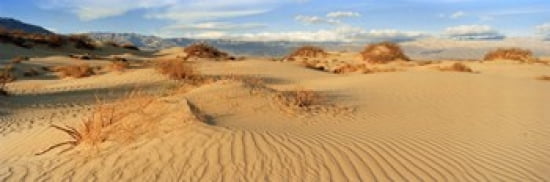Sand dunes in a national park Mesquite Flat Dunes Death Valley National Park California USA Canvas Art - Panoramic Images (36 x 12)