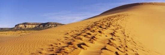 Sand dunes in the desert Coral Pink Sand Dunes State Park Utah USA Canvas Art - Panoramic Images (36 x 12)
